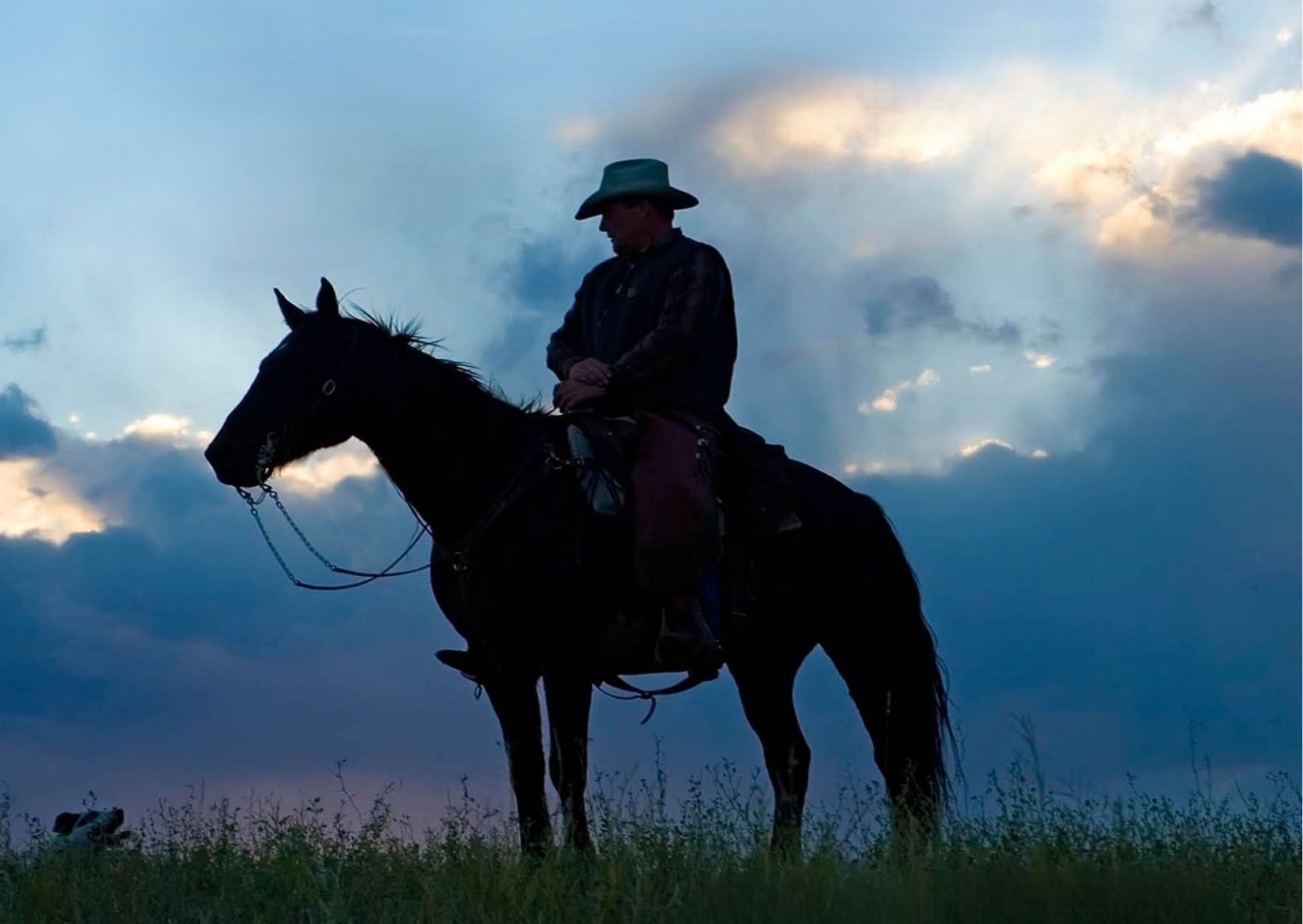 Cover of an upcoming novel by Jeff Turner