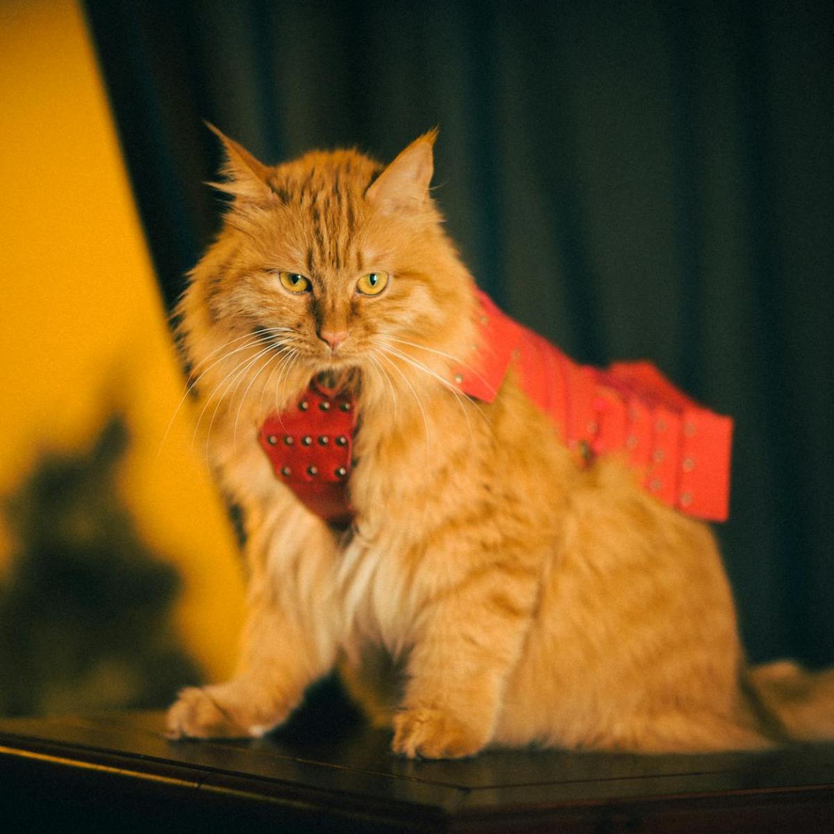 Day 22: Calm… in Theory&nbsp;😌